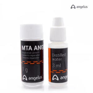 mta angelus